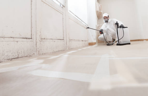 24/7 Emergency Crawl Space Mold Remediation experts in Garden City, MI