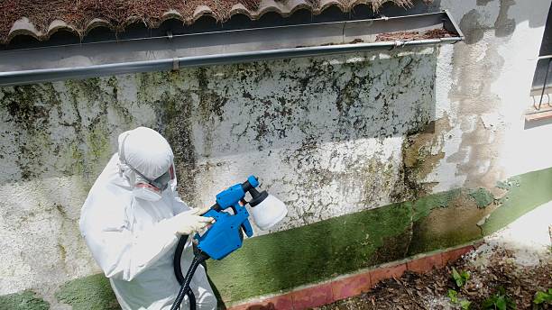 Top rated local Crawl Space Mold Remediation specialists in Garden City, MI